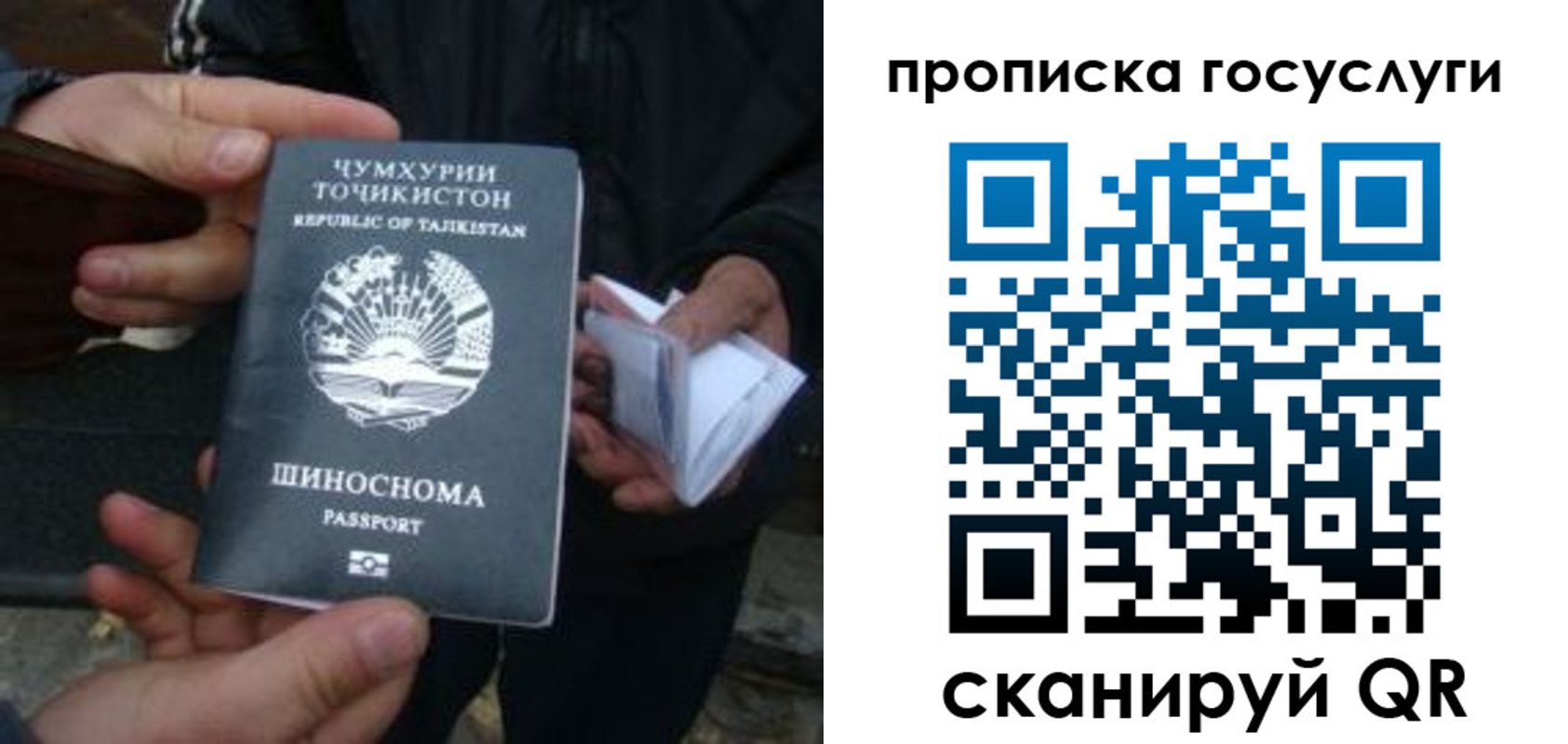 прописка гарантия в Ставрополе